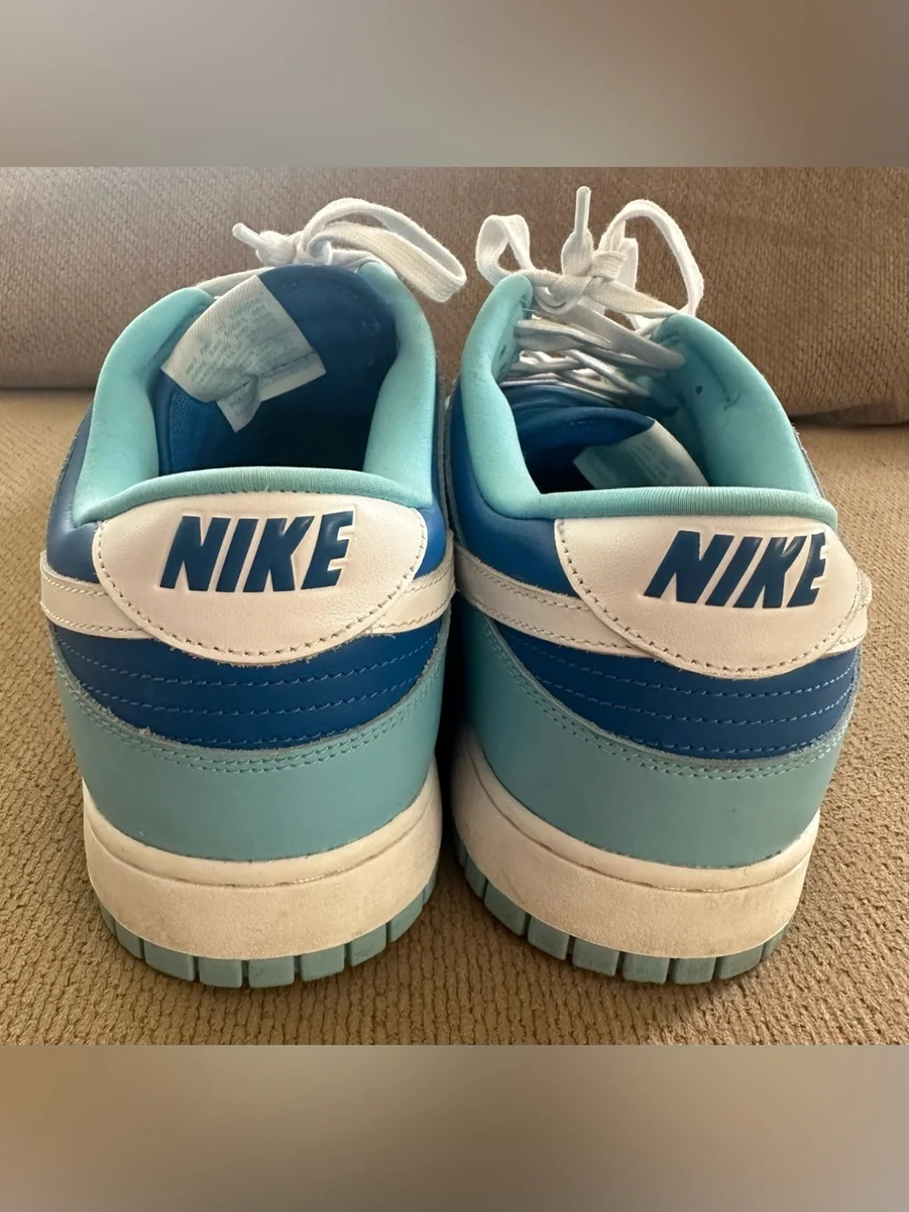 Nike Dunk Low Retro QS ‘Argon’ 2022 DM0121-400 Men’s Size 15 Gently Used